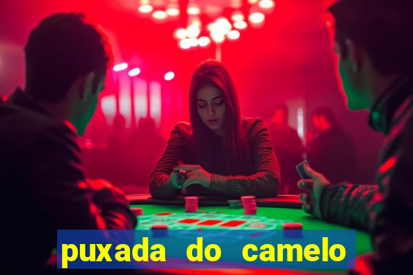 puxada do camelo jogo do bicho